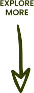 Scroll down
