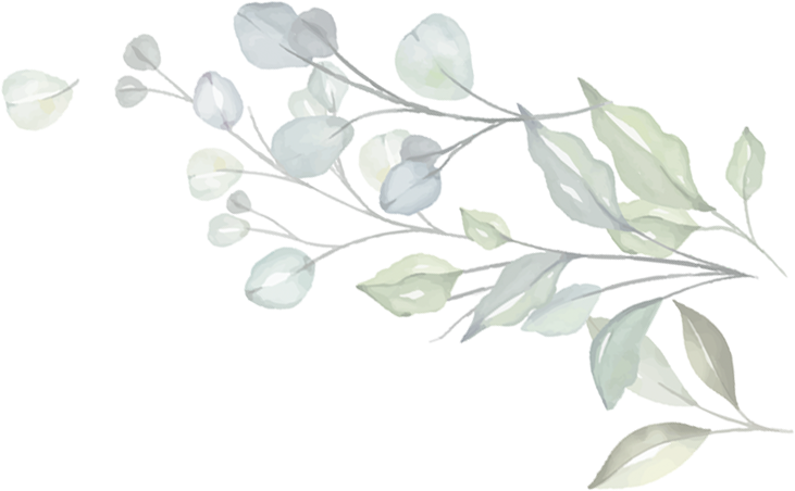 Flower graphic