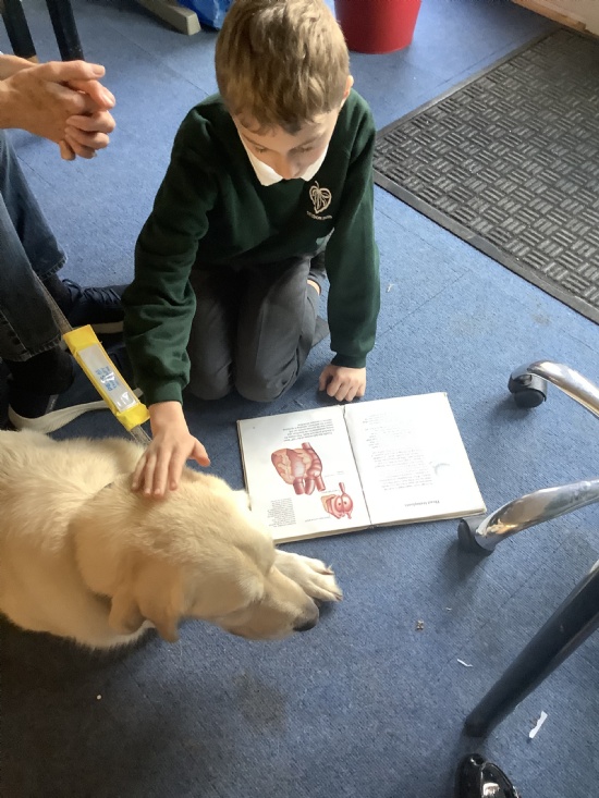 Read with Rafi